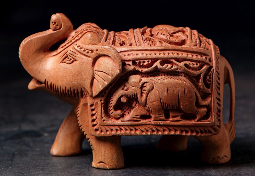 Why Elephants belong in our homes?